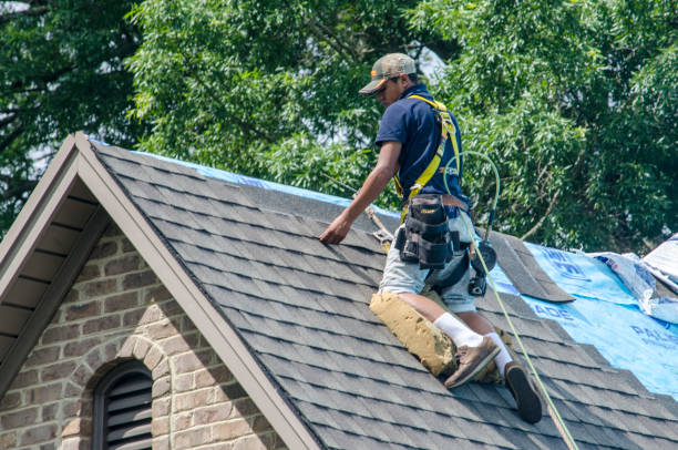 Best Metal Roofing Contractor  in Ranlo, NC